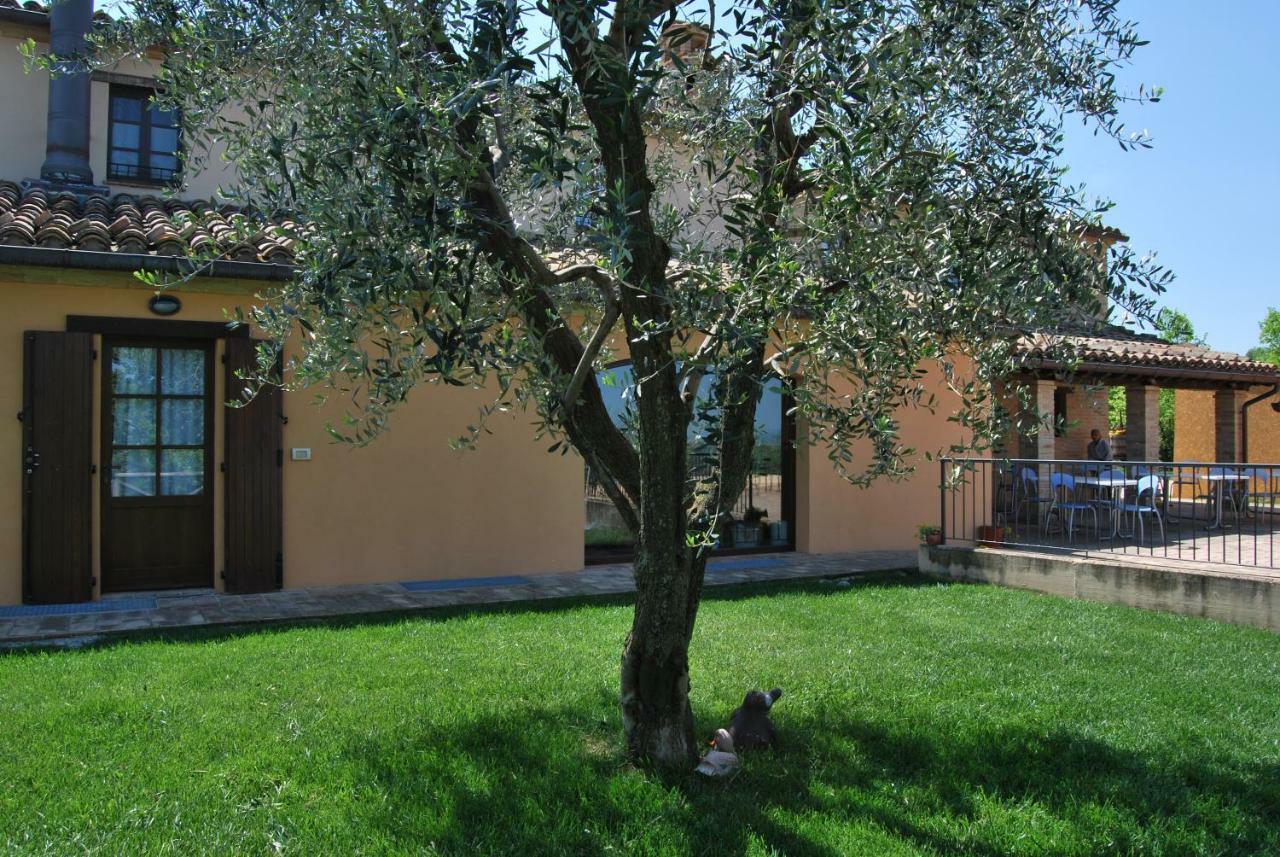 Cadabo Villa Montecarotto Eksteriør bilde